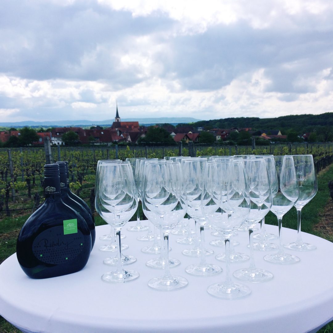 HipstamaticPhoto-578742605.617619