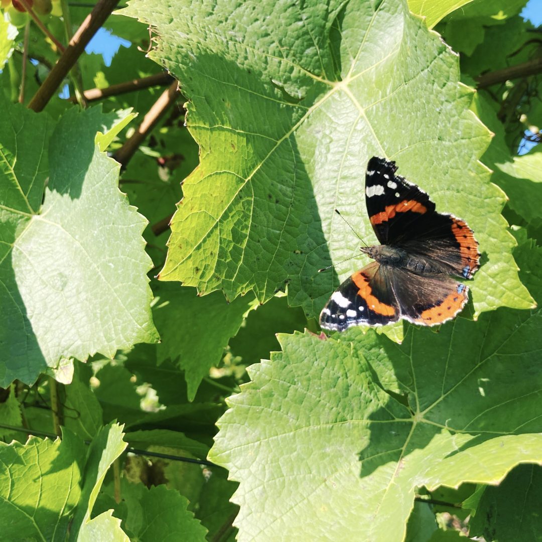 HipstamaticPhoto-655473766.699353